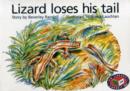 Image for Lizard Loses his Tail PM Red Set 3 (X6)