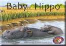 Image for Baby Hippo PM Yellow Set 1 (X6)