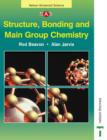 Image for Nelson Advanced Science: Structure, Bonding and Main Group Chemistry