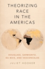 Image for Theorizing Race in the Americas