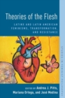 Image for Theories of the flesh  : Latinx and Latin American feminisms, transformation, and resistance