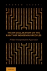 Image for The UN Declaration on the Rights of Indigenous Peoples  : a new interpretative approach