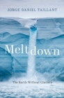 Image for Meltdown  : the Earth without glaciers