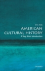 Image for American cultural history  : a very short introduction