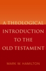 Image for A theological introduction to the Old Testament