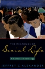 Image for The meanings of social life: a cultural sociology
