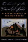Image for In search of the promised land: a black family and the Old South