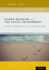 Image for Human behavior and the social environment, macro level: groups, communities, and organizations