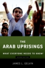 Image for The Arab uprisings: what everyone needs to know