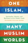 Image for One Islam, many Muslim worlds: spirituality, identity, and resistance across Islamic lands