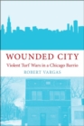 Image for Wounded City : Violent Turf Wars in a Chicago Barrio