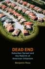 Image for Dead end  : suburban sprawl and the rebirth of American urbanism