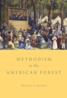 Image for Methodism in the American forest