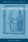 Image for The Critical Nexus