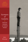 Image for Surveyors of customs: American literature as cultural analysis