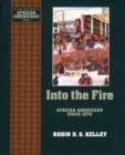 Image for Into the Fire: African Americans Since 1970: African Americans Since 1970