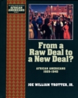 Image for From a Raw Deal to a New Deal: African Americans 1929-1945: African Americans 1929-1945