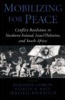 Image for Mobilizing for peace: conflict resolution in Northern Ireland, Israel/Palestine, and South Africa