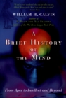 Image for Brief History of the Mind: From Apes to Intellect and Beyond: From Apes to Intellect and Beyond
