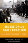 Image for Secession and State Creation