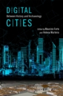 Image for Digital cities: between history and archaeology