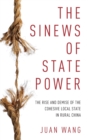 Image for The Sinews of State Power
