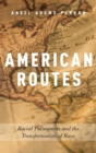 Image for American routes  : racial palimpsests and the transformation of race