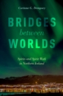 Image for Bridges between worlds: spirits and spirit work in northern Iceland