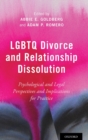 Image for LGBTQ divorce and relationship dissolution  : psychological and legal perspectives and implications for practice