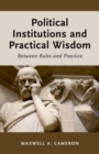 Image for Political institutions and practical wisdom  : between rules and practice