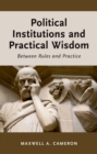 Image for Political Institutions and Practical Wisdom: Between Rules and Practice