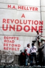 Image for Revolution Undone: Egypt&#39;s Road Beyond Revolt
