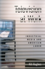 Image for Television at Work: Industrial Media and American Labor