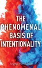 Image for The phenomenal basis of intentionality