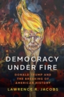 Image for Democracy under fire  : Donald Trump and the breaking of American history