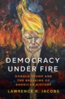 Image for Democracy under Fire: The Rise of Extremists and the Hostile Takeover of the Republican Party