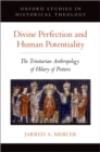 Image for Divine perfection and human potentiality: Trinitarian anthropology in Hilary of Poitiers&#39; De trinitate