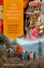 Image for The many faces of a Himalayan goddess  : Hadimba, her devotees, and religion in rapid change