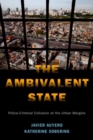 Image for The Ambivalent State