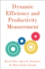 Image for Dynamic Efficiency and Productivity Measurement