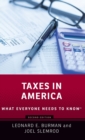 Image for Taxes in America