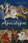 Image for Picturing the apocalypse: the Book of revelation in the arts over two millennia