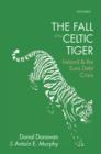 Image for The fall of the Celtic Tiger: Ireland and the Euro debt crisis