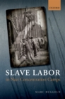 Image for Slave labor in Nazi concentration camps