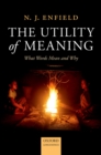 Image for The utility of meaning: what words mean and why