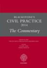 Image for Blackstone&#39;s civil practice 2014