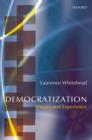 Image for Democratization: theory and experience