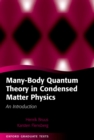 Image for Many-body quantum theory in condensed matter physics: an introduction