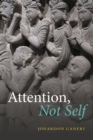 Image for Attention, Not Self