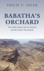 Image for Babatha&#39;s orchard: the yadin papyri and an ancient Jewish family tale retold